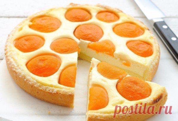 5 рецептов приготовления блюд из творога 

• источник Домашняя Кулинария •
 
 






5 рецептов приготовления блюд из творога1. Творожно-абрикосовый пирогИнгредиенты:тесто:● творог обезжиренный 100 г● масло сливочное 80 г● мука 150 г● разрых…