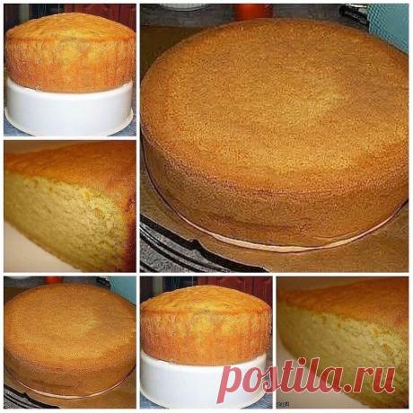 Личный повар 
БИСКВИТ НА ЛЮБОМ ЛИМОНАДЕ С ГАЗОМ. 

Есть ли у Вас такой рецепт бисквита? Очень он уж мне нравится и решила ещё и Вам напомнить этот рецепт. Аромат потрясающий и очень пышный. Если Вы ещё не пробовали печь по этому рецепту, то обязательно его испробуйте. 
Ингредиенты: - Яйца - 4 шт - Сахар - 1,5 стакана - Сахар ванильный - 1 пакет - Лимонад (любой) - 1 стакан - Растительное масло - 1 стакан - Мука - 3 стакана - Разрыхлитель - 10 г 
Главный секрет этого бискви...