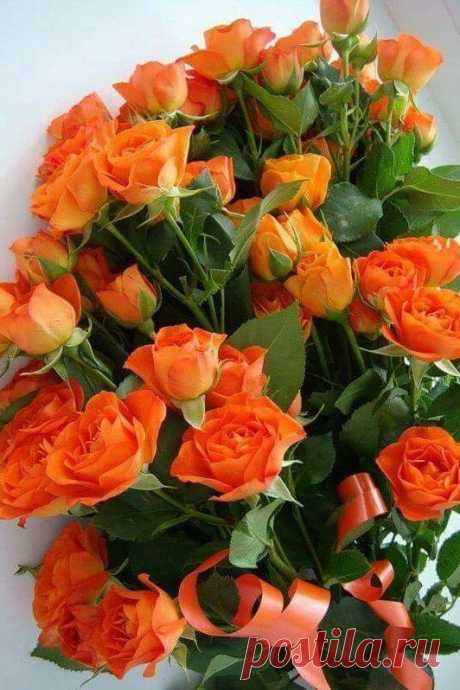 (4) Facebook