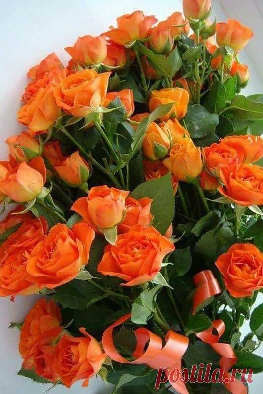 (4) Facebook