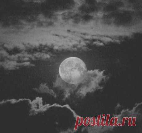 Գիշերը ամբողջ հիվանդ, խելագար,
Ես երազեցի արևի մասին։
Շուրջս ո՛չ մի ձայն ու շշուկ չկար —
Գունատ էր շուրջս՝ գիշեր ու լուսին:
Ես երազեցի արևի ոսկին,
Տենչացի նրա հրաշքը խնդուն՝
Ուզեցի սիրել շշուկն իմաստուն
Արևանման, արնավառ խոսքի,—
Բայց շուրջս այնպես գունատ էր, տկար —
Խոսքեր չկային ու արև չկար...
ՉԱՐԵՆՑ