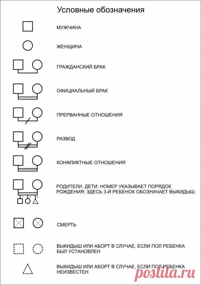 Геносоциограмма - история твоей большой семьи