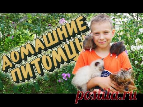 📺 Все Видео Канала ArtemLand: https://www.youtube.com/ArtemLand 
Спасибо, что смотрите мое видео! 
SOCIAL MEDIA: https://linktr.ee/ArtemLand