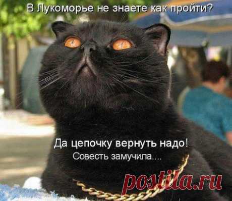 Со временем &quot;Совесть&quot; порядком укоротила цепь...:-)