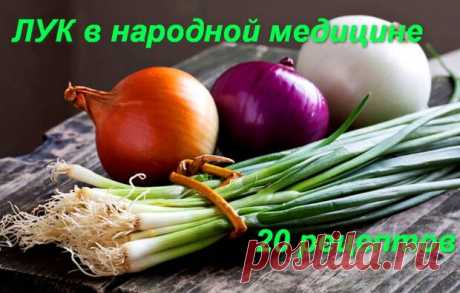 Лук в народной медицине - 20 рецептов - ЖЕНСКИЙ  МИР - 26 января - 43877513004 - Медиаплатформа МирТесен Лук - самое распространённое и доступное огородное лекарство, обладающее антисептическими и антибиотическими свойствами. Ещё во времена Гиппократа и Авиценны людей лечили луком от ревматизма, подагры, ангины, простудных заболеваний, ожирения. Считалось, что он даже способен спасти от чумы и - 26 января - 43877513004 - Медиаплатформа МирТесен