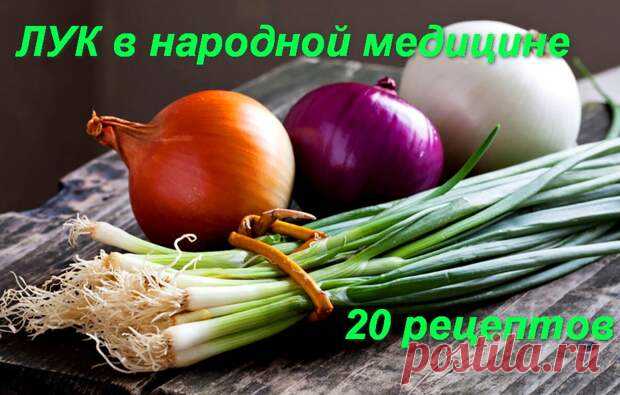 Лук в народной медицине - 20 рецептов - ЖЕНСКИЙ  МИР - 26 января - 43877513004 - Медиаплатформа МирТесен Лук - самое распространённое и доступное огородное лекарство, обладающее антисептическими и антибиотическими свойствами. Ещё во времена Гиппократа и Авиценны людей лечили луком от ревматизма, подагры, ангины, простудных заболеваний, ожирения. Считалось, что он даже способен спасти от чумы и - 26 января - 43877513004 - Медиаплатформа МирТесен