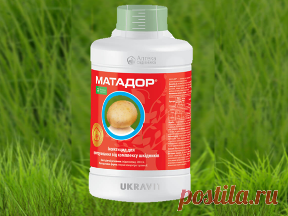 Как защитить картошку от проволочника. Уберечься от этого вредителя легко | Твоя Дача | Яндекс Дзен