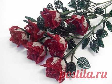 Бисероплетение_๖ۣۜМагия ๖ۣۜБисера