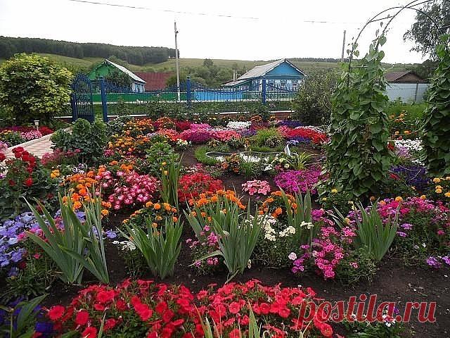 (20) Одноклассники