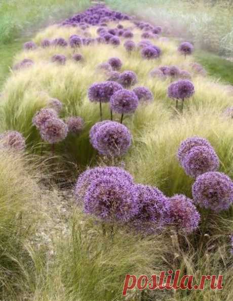 Timeline Photos - Sociedad Argentina de Horticultura