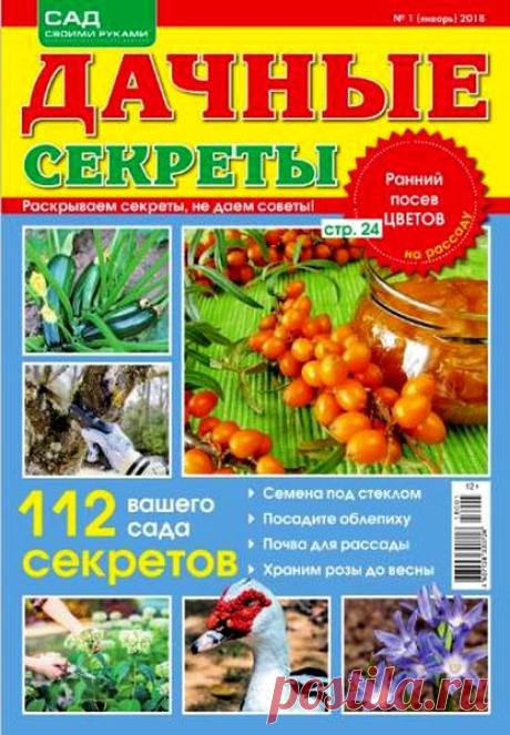 Дачные секреты (№1 2018) Читать и скачать журналы онлайн