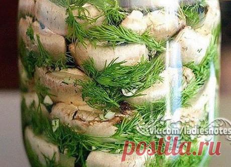 Малосольные шампиньоны - просто объедение!