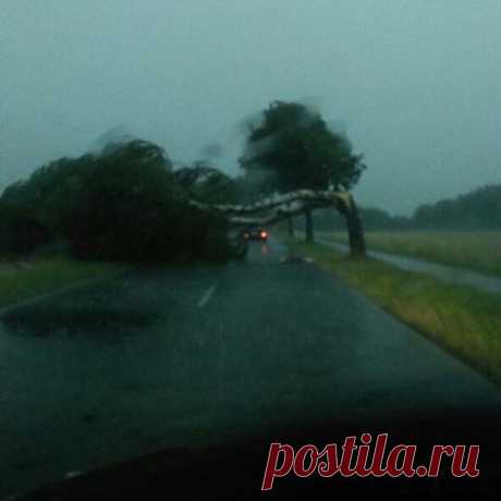 Шквал в Брауншвейге, Германия ломает днут назад. / Социальная погода
