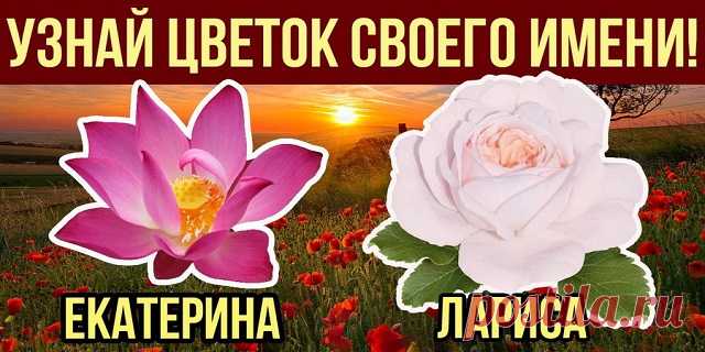 Характер женщины по её имени! Точность поражает! - Астрология