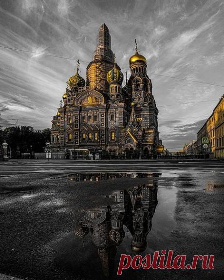 Серо-золотой каменный город
Каков по вашему Петербург - золотой, серый, синий, или какой-то другой?