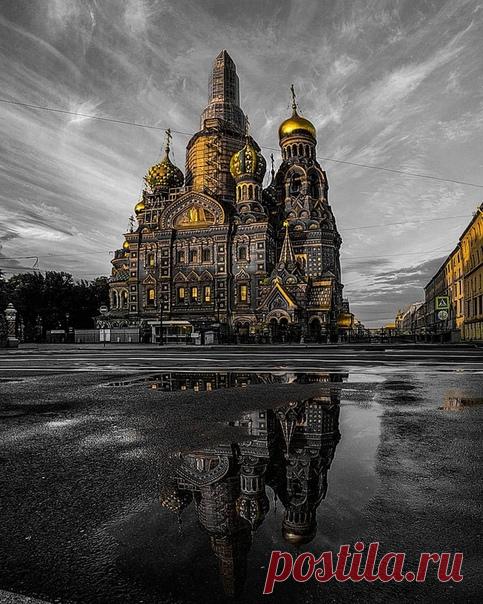 Серо-золотой каменный город
Каков по вашему Петербург - золотой, серый, синий, или какой-то другой?