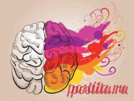 Как развивать полушария мозга? | Всегда в форме!