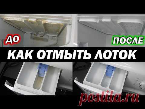Как ОТМЫТЬ ЛОТОК СТИРАЛЬНОЙ МАШИНЫ от окаменевшего порошка, известкового налета, плесени и грязи