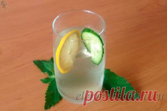 Вода сасси - рецепт для похудения, польза и вред, диета сасси, отзывы