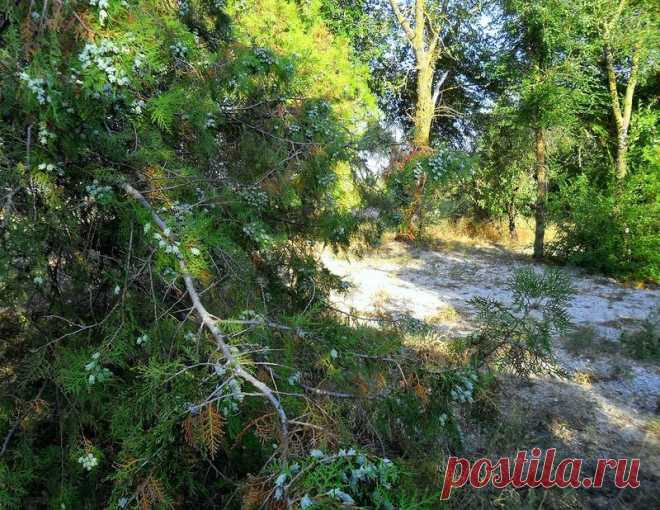 Человек с фотоаппаратом, в жаркий день - 6 Ноября 2015 - Персональный сайт