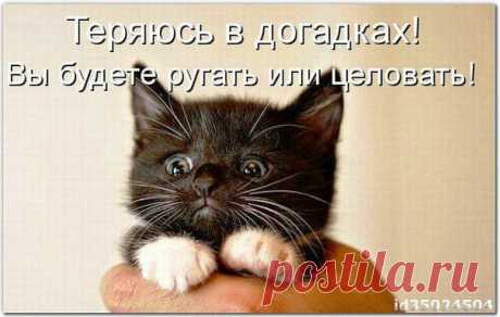 ᴼᴿᴵᴳᴵᴺᴬᴸ   SМАЙЛИКИ   (ړײ)