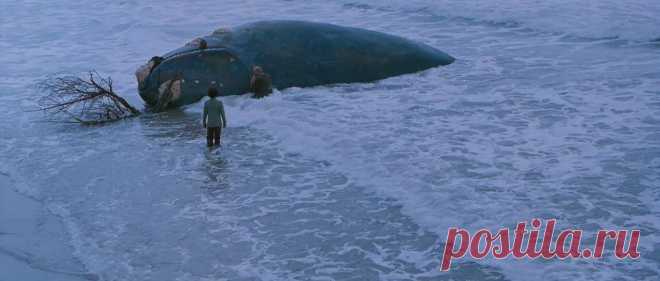 Оседлавший кита (2002)