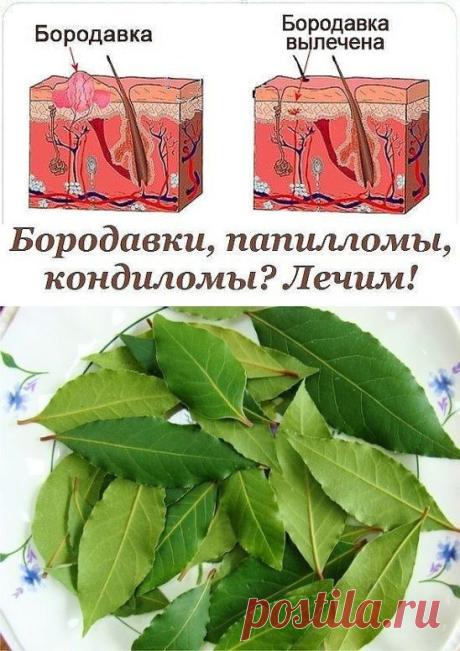 (99+) Одноклассники
