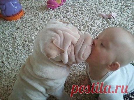 Я тебя люблю