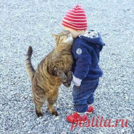 Тело-Любовь-Звезда