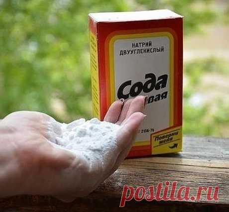 СПОСОБЫ ИСПОЛЬЗОВАНИЯ ПИЩЕВОЙ СОДЫ В САДУ