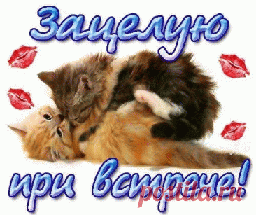 Открытка Зацелую при встрече! открытка с поцелуем женщине