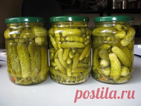 Как приготовить корнишоны маринованные. Рецепт заготовок на зиму