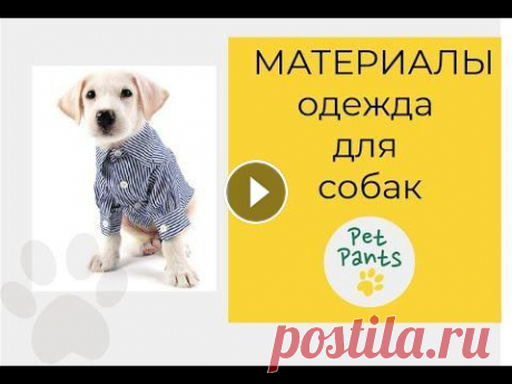 Из каких материалов шьют одежду для собак Как выбрать ткани и материалы для одежды собакам? В этом видео Вы узнаете, из каких материалов и тканей шьют одежду для собак. Более подробно, как стр...