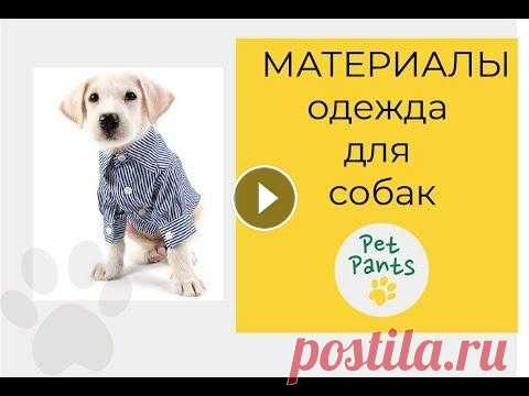 Из каких материалов шьют одежду для собак Как выбрать ткани и материалы для одежды собакам? В этом видео Вы узнаете, из каких материалов и тканей шьют одежду для собак. Более подробно, как стр...