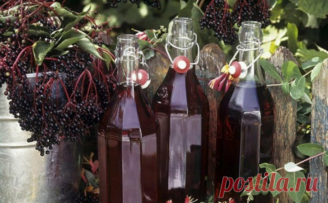 33 листа черной смородины, 33 листа вишни, 33 листа малины, сахар и 0,5 л водки для самой вкусной ягодной наливки «100 листьев» – В РИТМЕ ЖИЗНИ