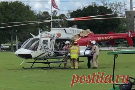 Велосипедист упал в воду и угодил в пасть огромного аллигатора. В США огромный аллигатор напал на велосипедиста. Американец упал с велосипеда в водоем, где сидела самка хищника, охранявшая свое гнездо. Аллигатор схватил велосипедиста за ногу и укусил несколько раз. Мужчина сумел вырваться из пасти рептилии и вылезти из воды с помощью людей, гуляющих в парке.