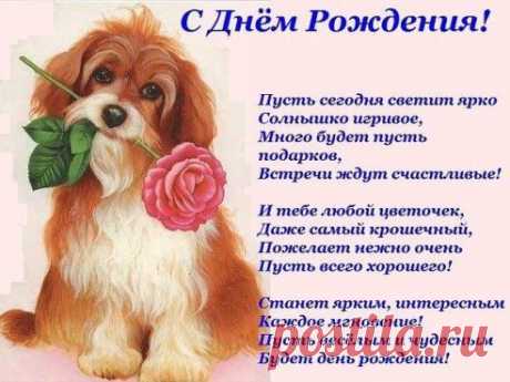 Пусть будет в жизни всё подвластно ВамБольшие цели, замыслы, стремленья!
www.ok.ru/statusokay