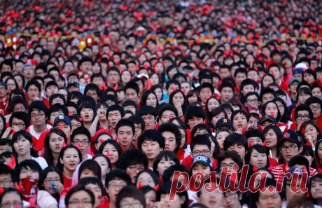 Столпотворение | ФОТО НОВОСТИ