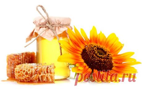 9 способов отличить хороший мед от плохого | Экологическое землетворчество
