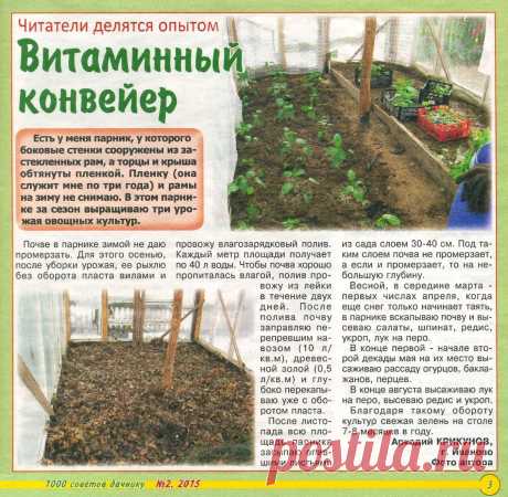 Витаминный конвейер