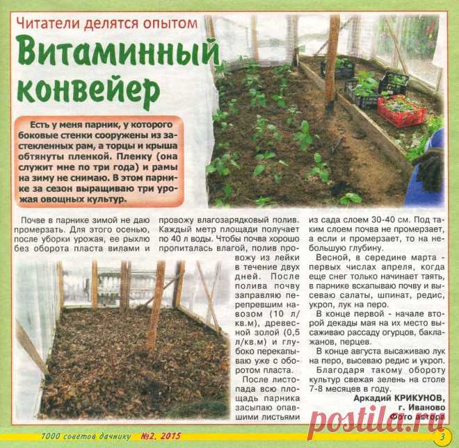 Витаминный конвейер