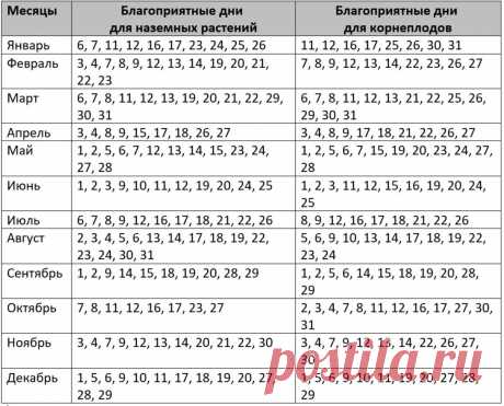 Сроки посевных работ Огород без хлопот - информационный сайт для дачников, садоводов и огородников.
