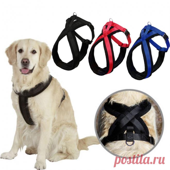 Регулируемый проводов ошейник Детская безопасность Бретели для нижнего белья сетки жилет ворса Нейлон Собака нагрудный поводок для Товары для собак размеры S M L XL купить на AliExpress