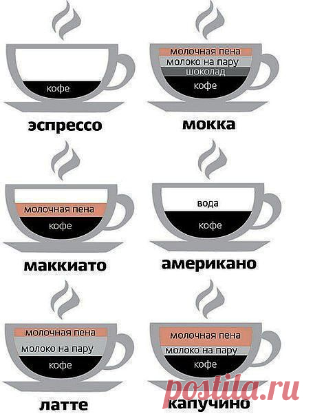 кофейный ликбез / Разное / "Полезная" коллекция / Pinme.ru / Евгения Прокуран
