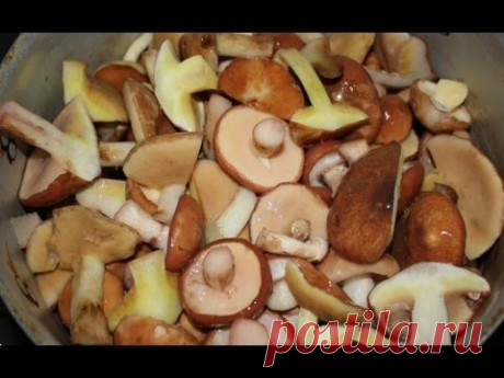 Маринованные маслята в банках на зиму домашних условиях простой рецепт