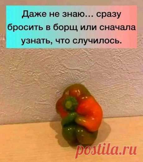 Из жизни овощей 🌶