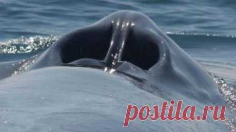 26 редких фотографий показывают привычные вещи с неизвестного для нас ракурса Со временем монотонная повседневная жизнь может поработить даже самых восторженных людей. Вещи, ставшие для нас настолько привычными, что мы перестаем даже замечать их, на самом деле имеют и другую, н...