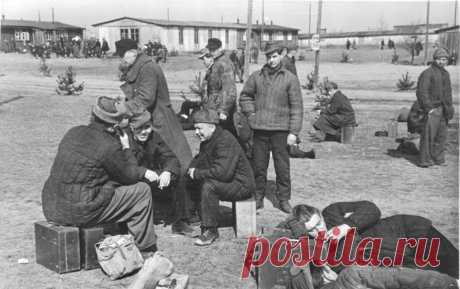 Во время Великой Отечественной войны 2,4 миллиона немцев оказались в советских лагерях для военнопленных. Ещё 12 тысяч солдат вермахта были осуждены в СССР за военные преступления. К концу 1956 года они были возвращены на родину. Как она приняла их?