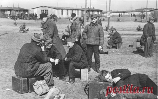 Во время Великой Отечественной войны 2,4 миллиона немцев оказались в советских лагерях для военнопленных. Ещё 12 тысяч солдат вермахта были осуждены в СССР за военные преступления. К концу 1956 года они были возвращены на родину. Как она приняла их?