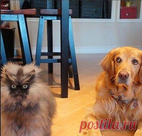 Кулинария,Рецепты!